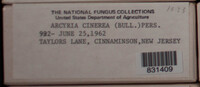 Image Associated With the Occurence
